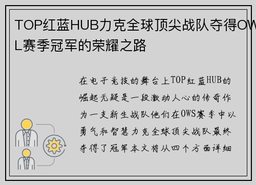 TOP红蓝HUB力克全球顶尖战队夺得OWL赛季冠军的荣耀之路