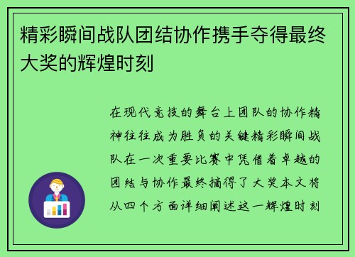 精彩瞬间战队团结协作携手夺得最终大奖的辉煌时刻