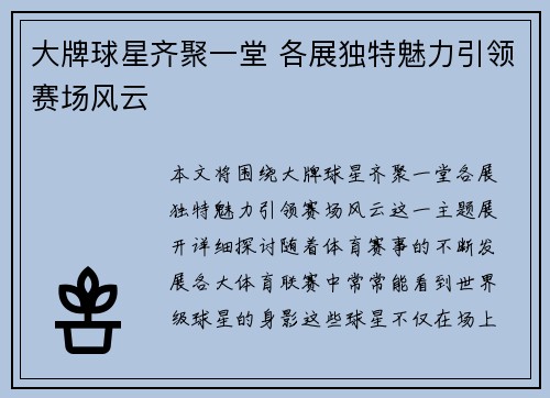 大牌球星齐聚一堂 各展独特魅力引领赛场风云