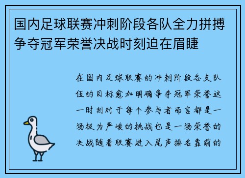 国内足球联赛冲刺阶段各队全力拼搏争夺冠军荣誉决战时刻迫在眉睫