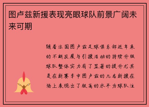 图卢兹新援表现亮眼球队前景广阔未来可期