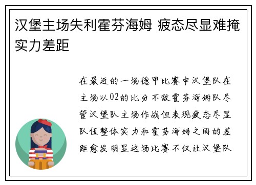 汉堡主场失利霍芬海姆 疲态尽显难掩实力差距