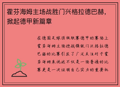 霍芬海姆主场战胜门兴格拉德巴赫，掀起德甲新篇章