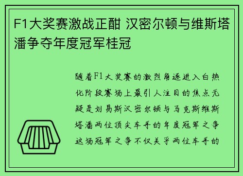 F1大奖赛激战正酣 汉密尔顿与维斯塔潘争夺年度冠军桂冠