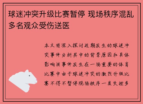 球迷冲突升级比赛暂停 现场秩序混乱多名观众受伤送医